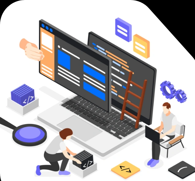 custom software development