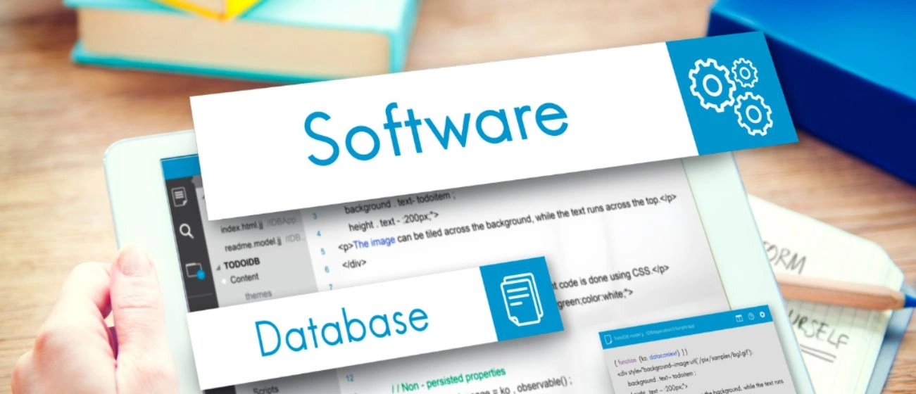 Professional Web Development Services